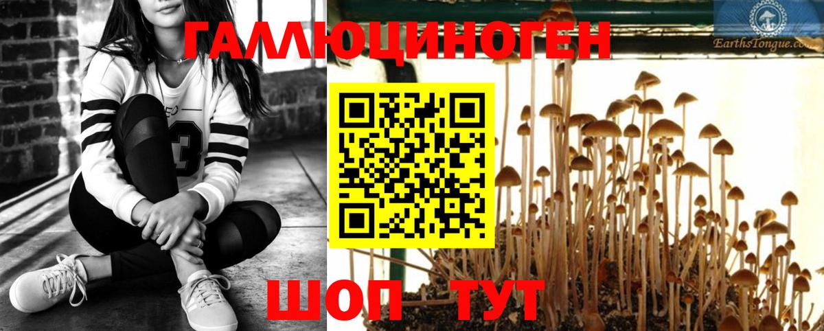 Первоуральск  Галлюциногенные грибы мухоморы  Вход с VPN 